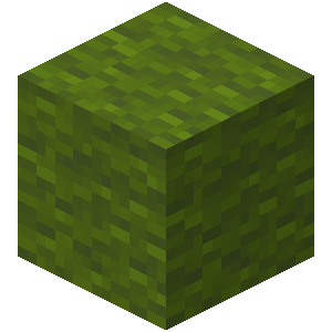 Green Wool