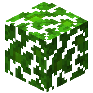 Jungle Leaves