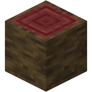 Mangrove Log