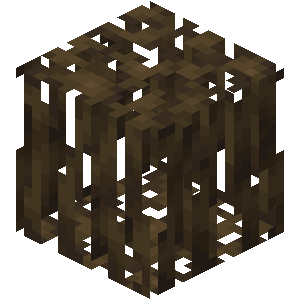 Mangrove Roots