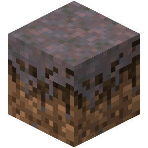 Mycelium