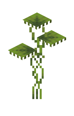 Small Dripleaf
