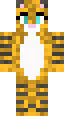 Partypoesje