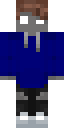 Vissearmy